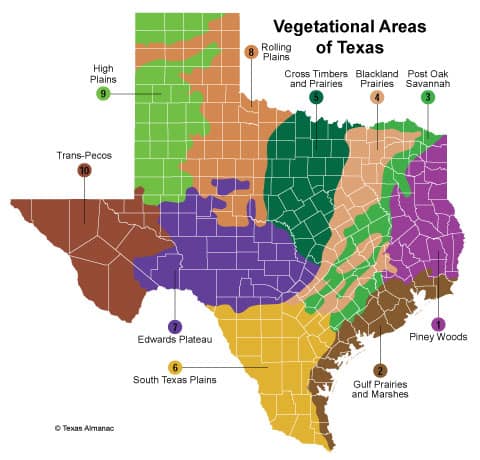 texas-vegetationmap-2091761