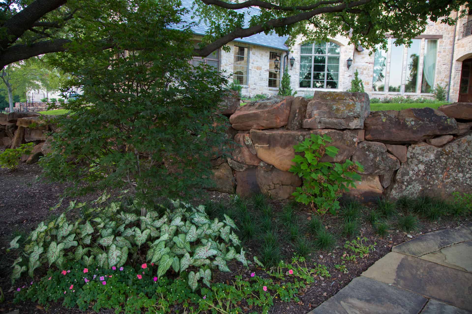 dallas professional lanscaping